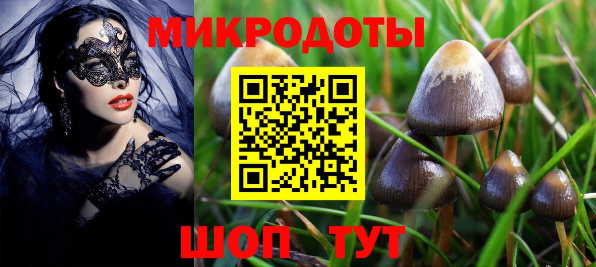 Псилоцибиновые грибы Magic Shrooms Гусев