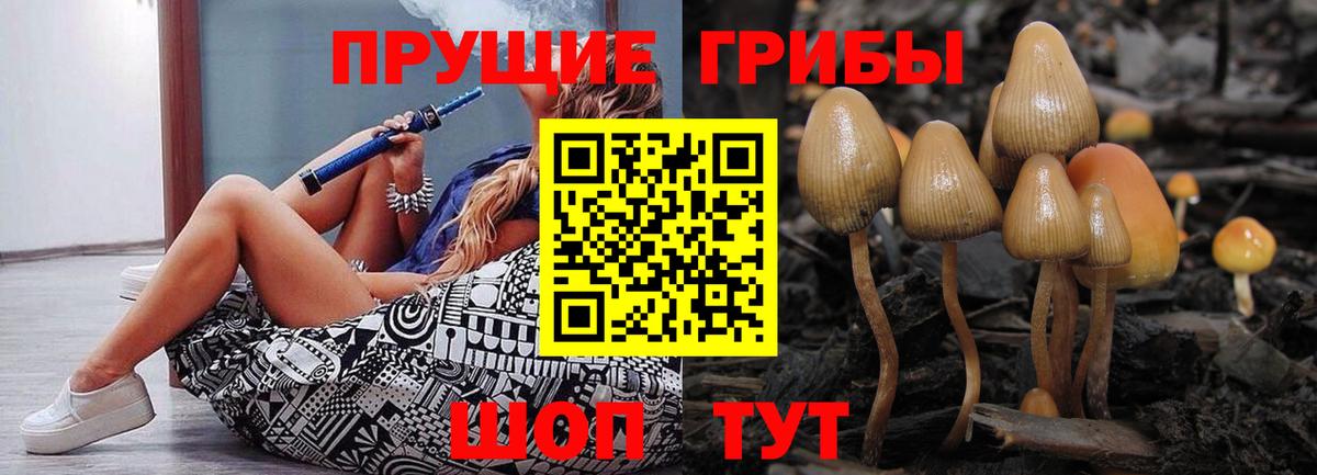 Гусев  Псилоцибиновые грибы Psilocybe  Вход с VPN  Галлюциногенные грибы MAGIC MUSHROOMS 